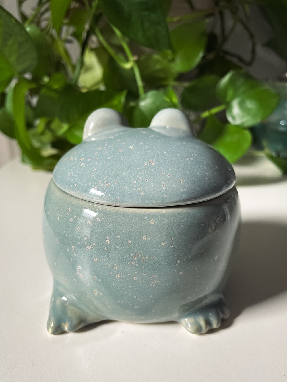 Trinket Jar - Adorable Green-Grey Ceramic Frog Keepsake Jar - Picture 4 of 8